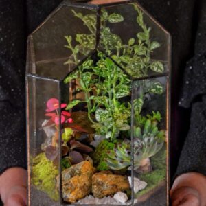 Terrario Templo con musgo y puerta