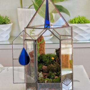 Terrario Ondinas